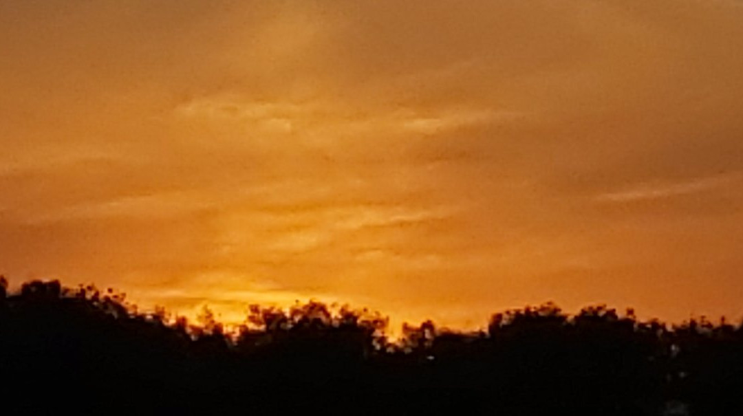 Solmar Vacanze主图