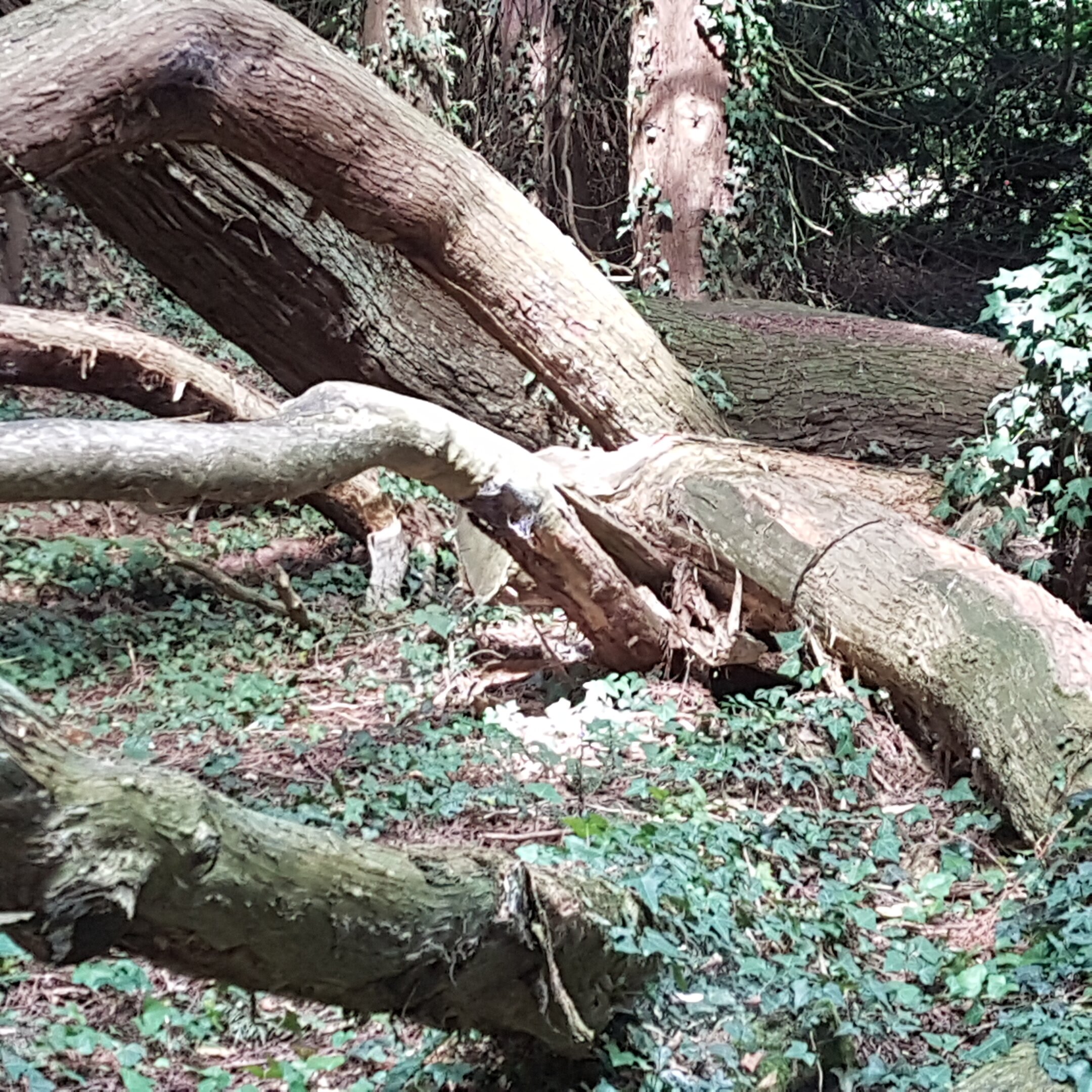 Logis Domaine de la Ferrière-官方