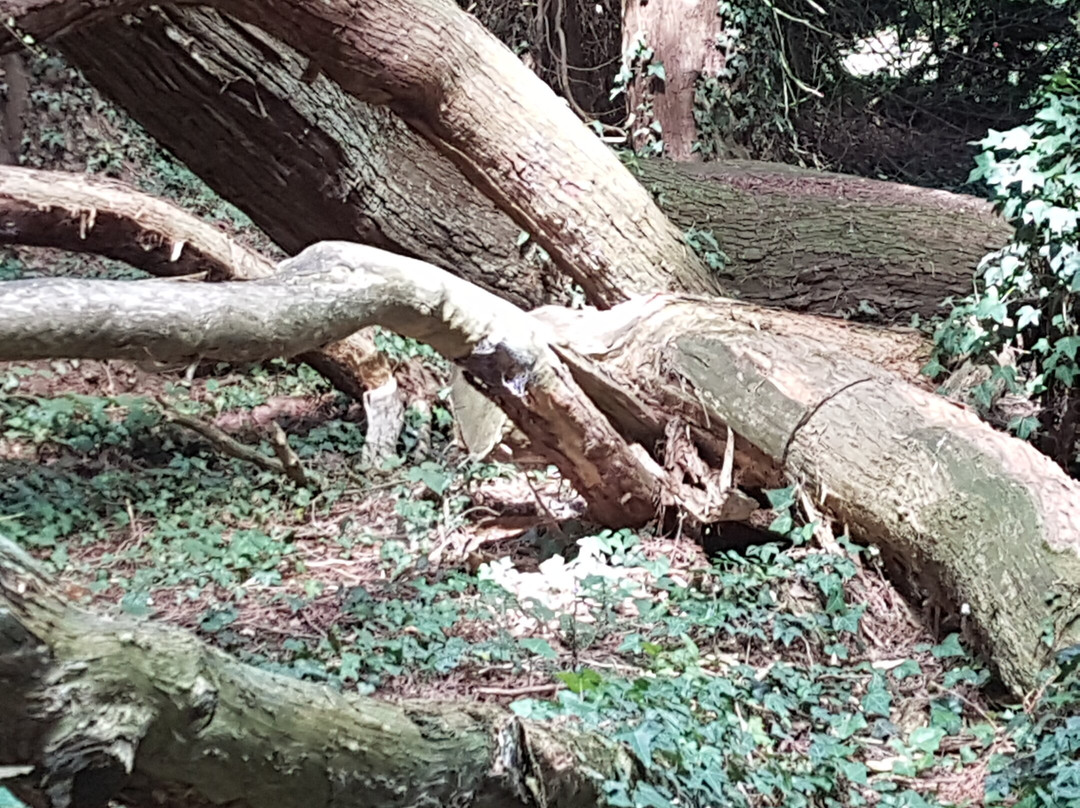 Logis Domaine de la Ferrière主图