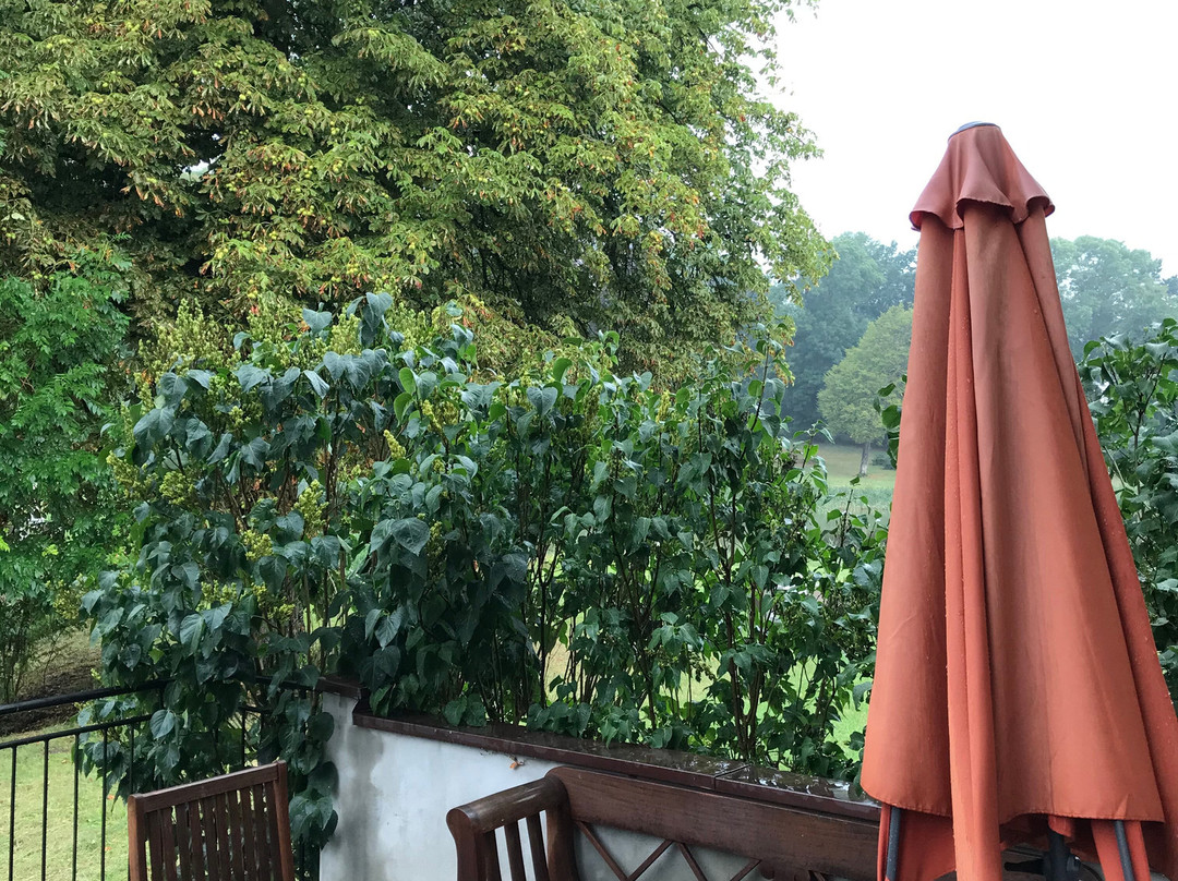 Hotel Schloss & Gut Ulrichshusen主图