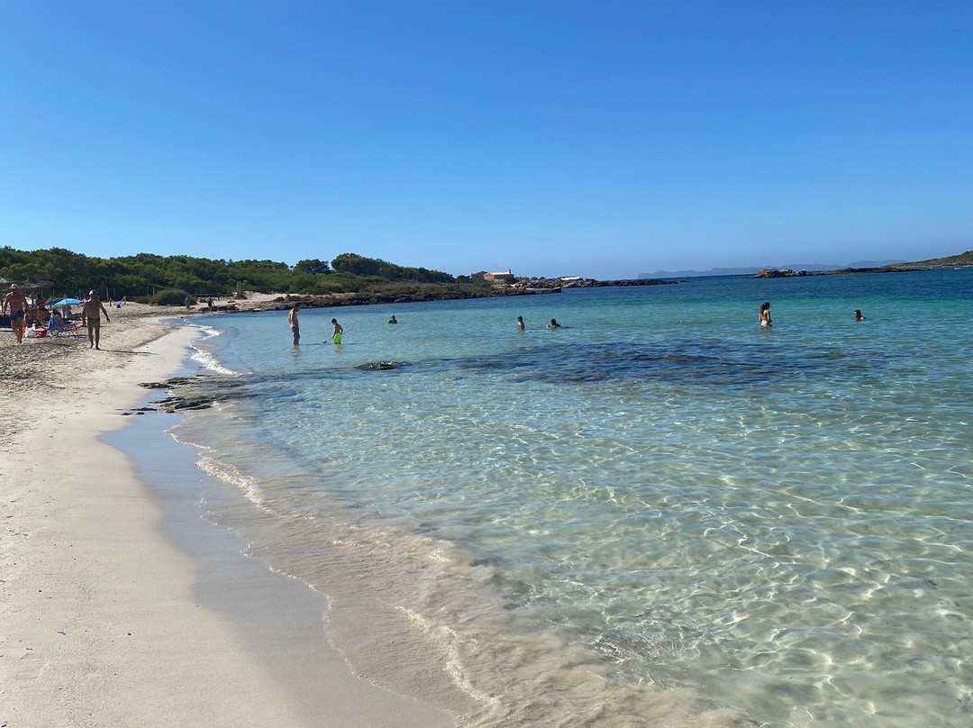 Playa Es Dolc景点图片