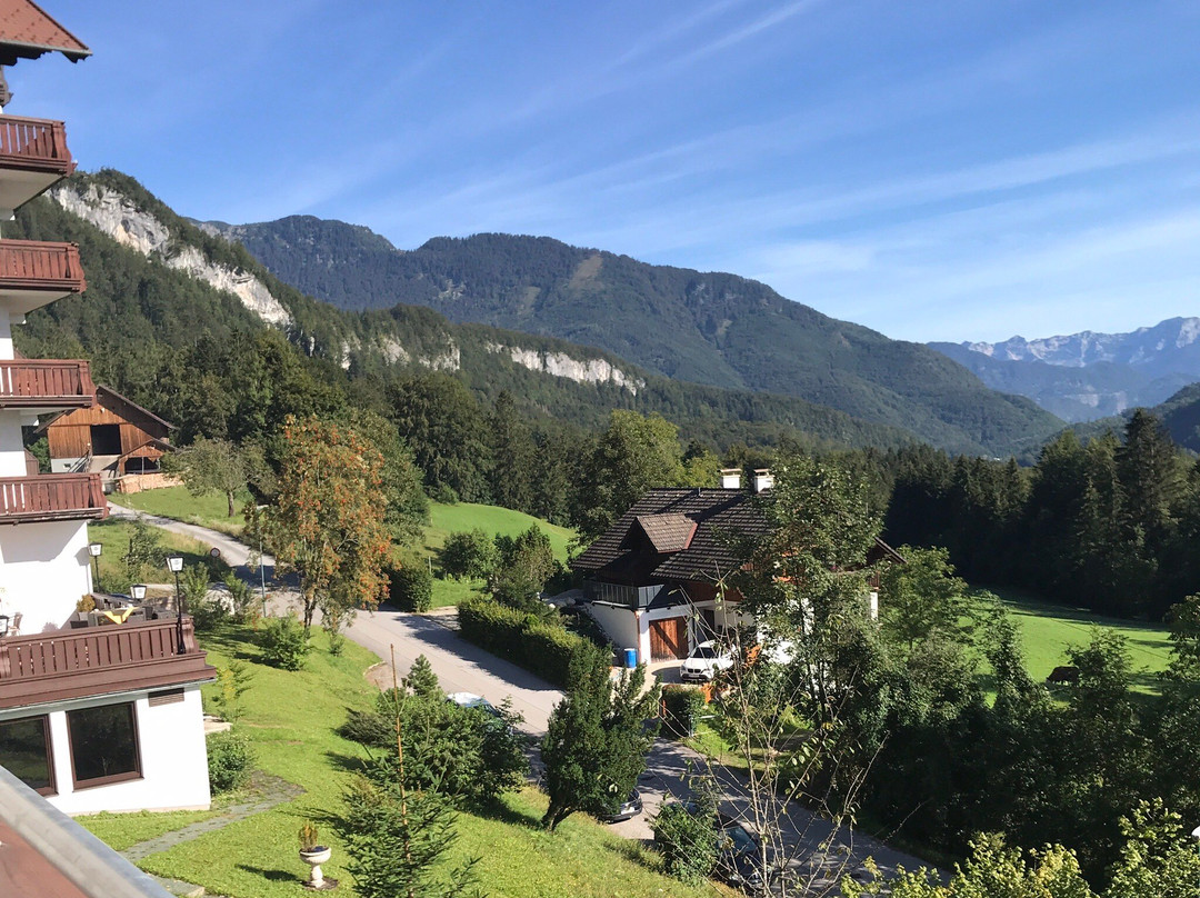 Alpenhotel Dachstein主图