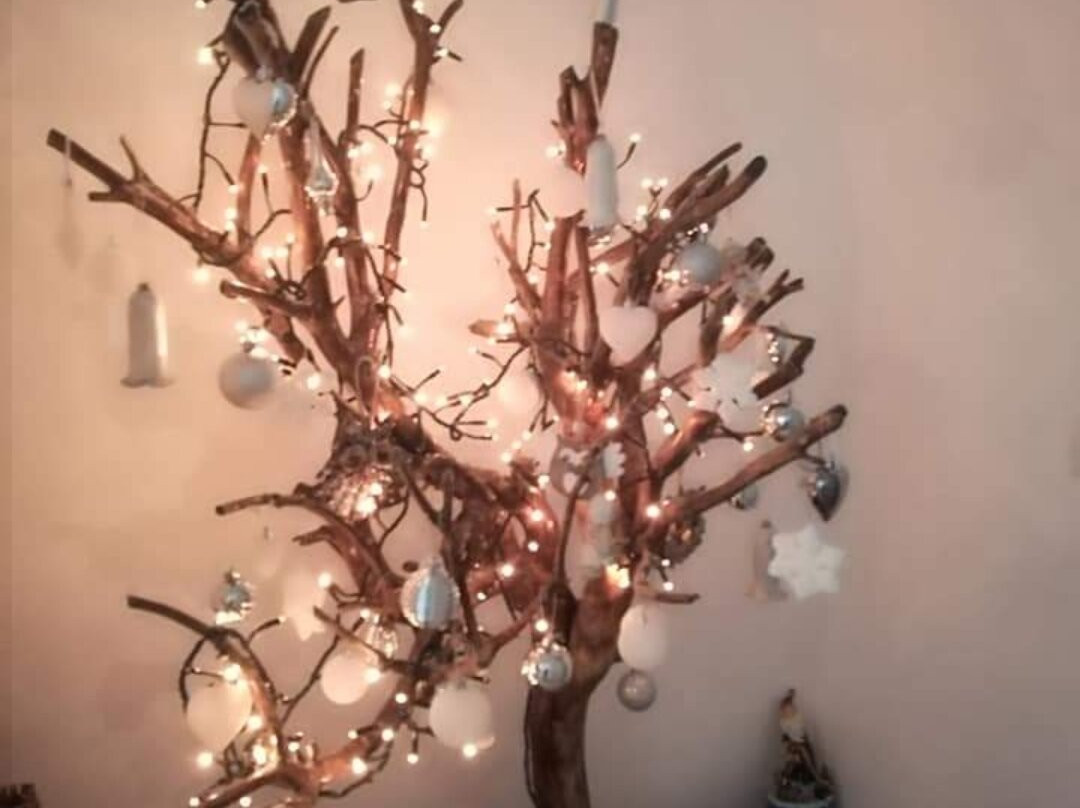 Il Covo delle Civette主图