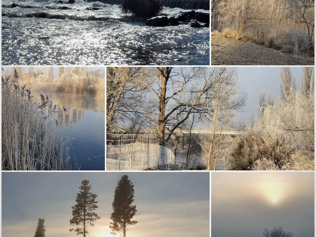 Snowy River Holiday Park