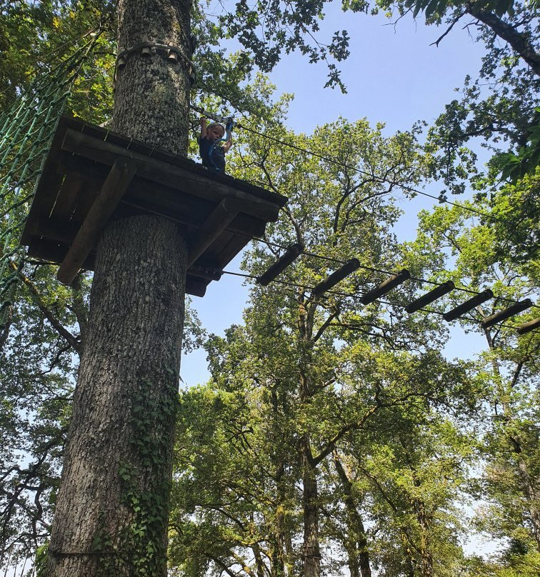 Aventure Parc Lacs de Haute Charente-Massignac必去景点