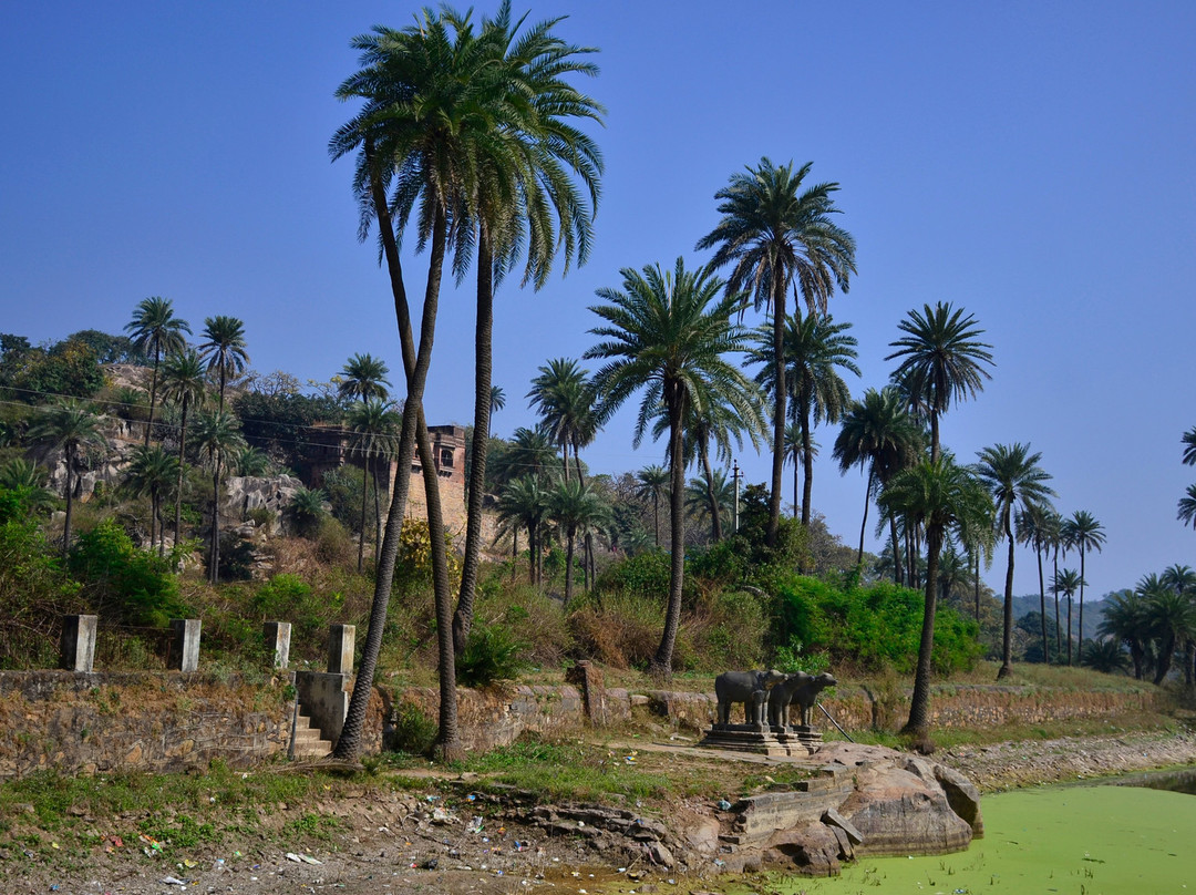 Achalgarh Fort景点图片