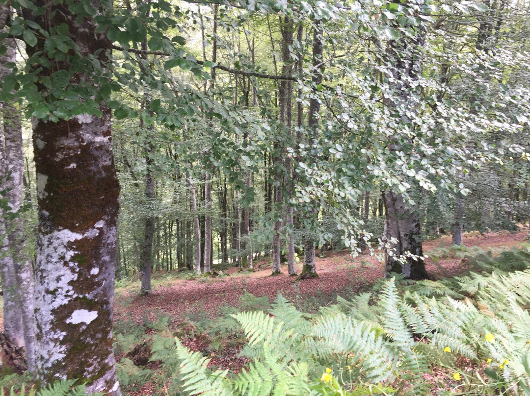 Mirador de Santa Catalina-Penarrubia必去景点