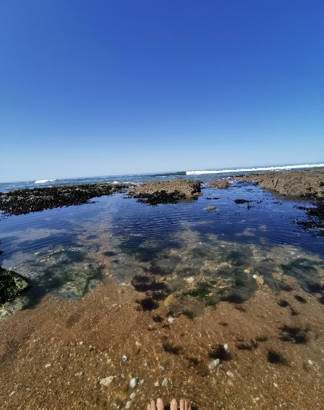 Plage des Bussoleries-Saint-Hilaire-de-Riez必去景点