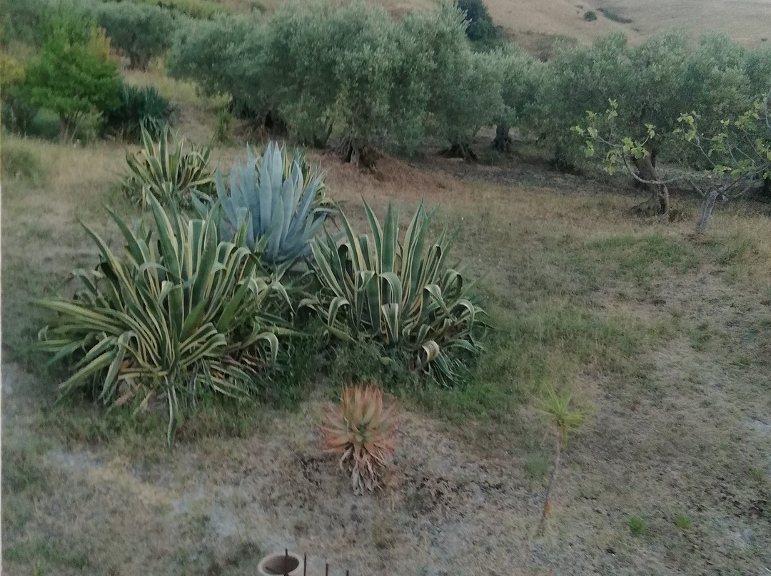 Sambuca di Sicilia旅游攻略图片