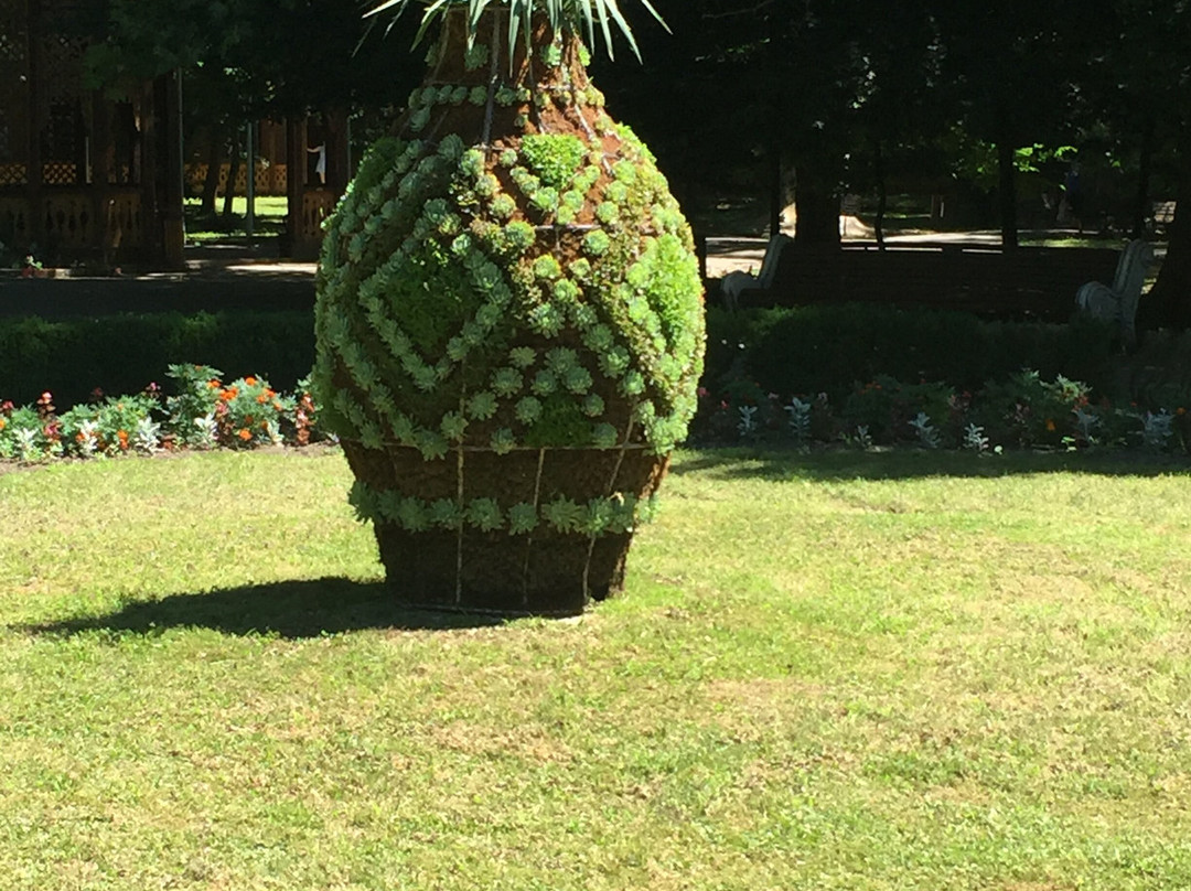 Buziaș Dendrological Park景点图片