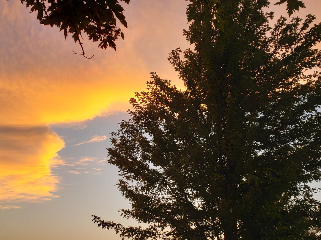 Miss Spenser’s of Longview Farms Bed and Breakfast主图