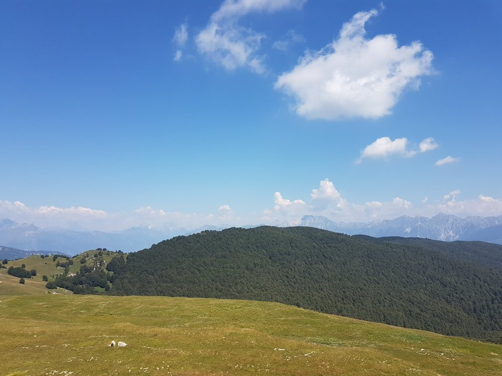 Monte Pizzoc景点图片