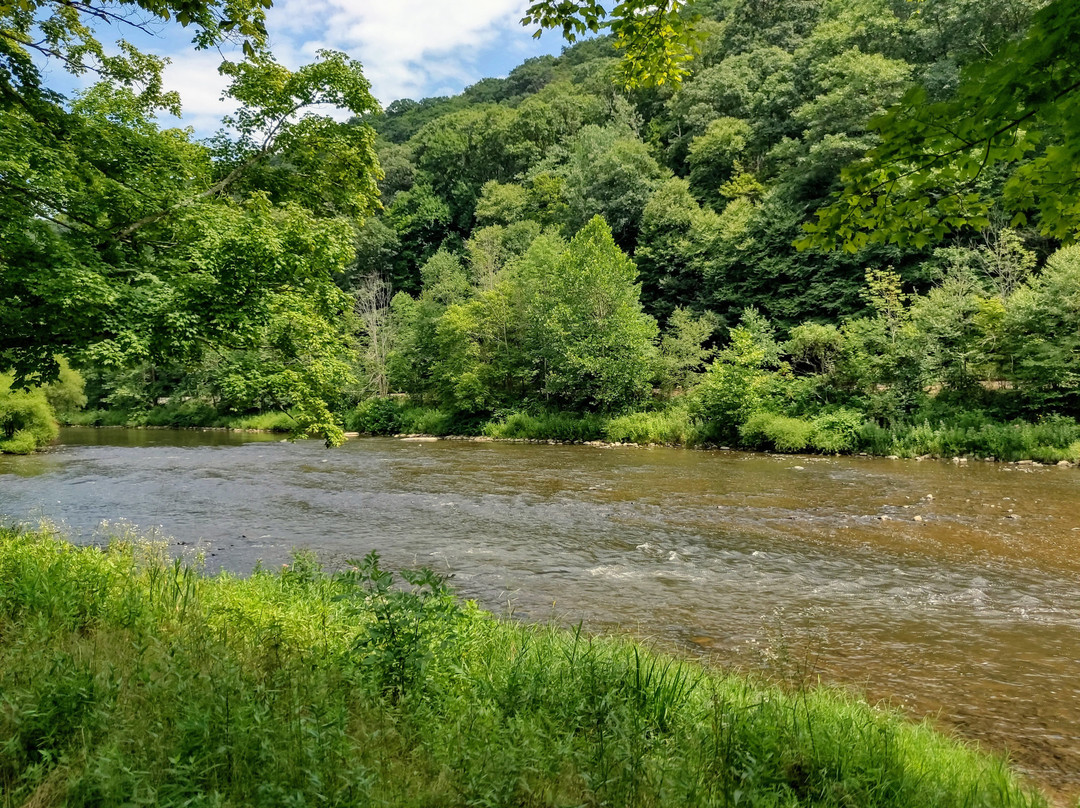 Oil Creek State Park景点图片