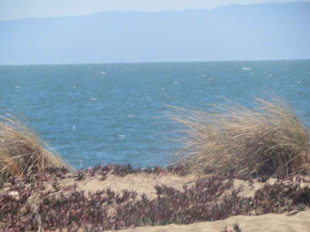 Shoreline Park景点图片