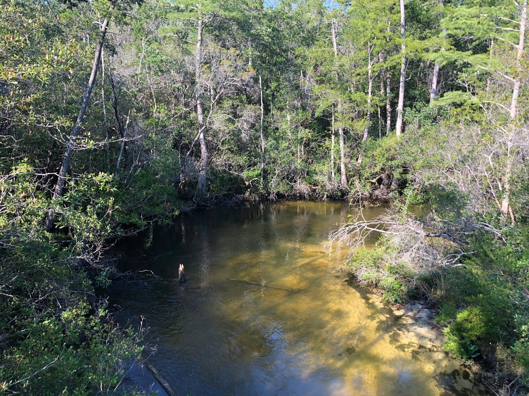 Turkey Creek Nature Trail景点图片