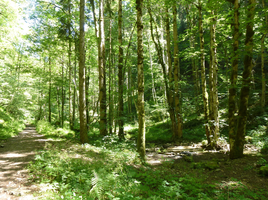 Ferme de la Combe Tabeillon-Glovelier必去景点