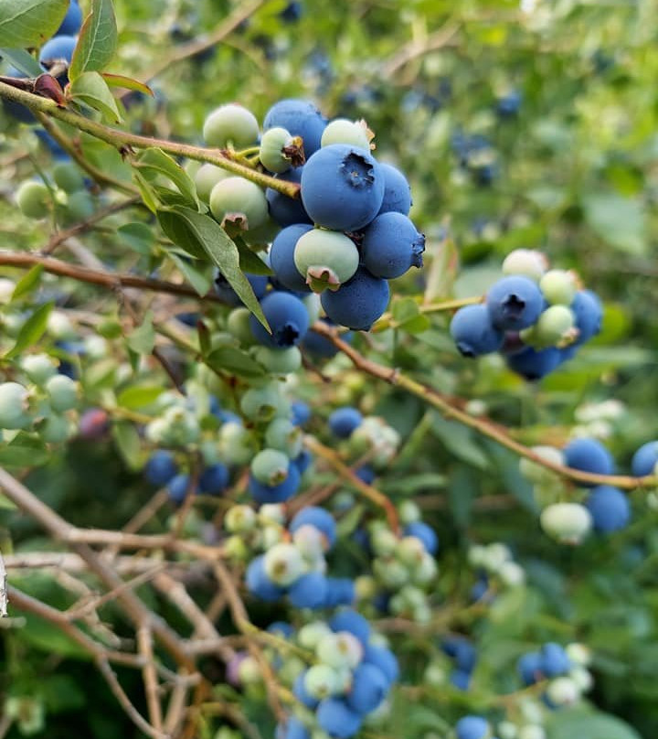Highland Valley Farm-Bayfield必去景点