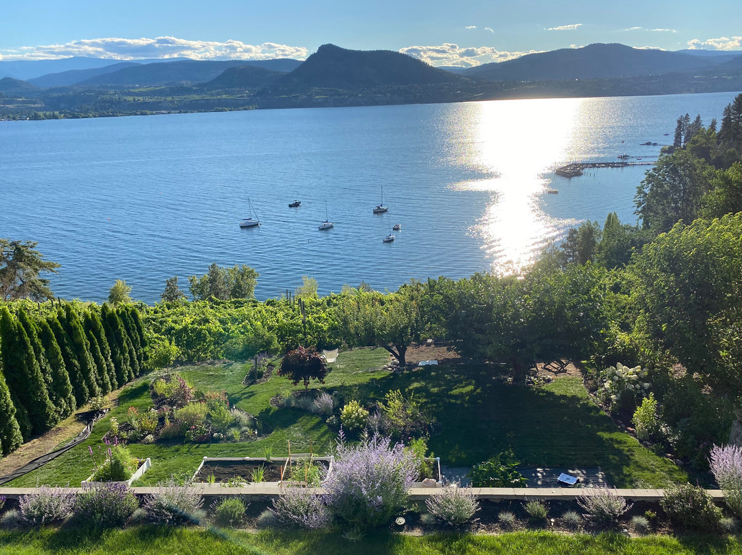 Villa Magnolia Guest House主图