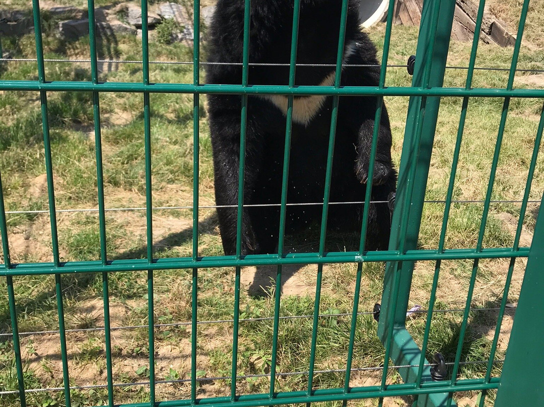 ZOO Chleby-Chleby必去景点