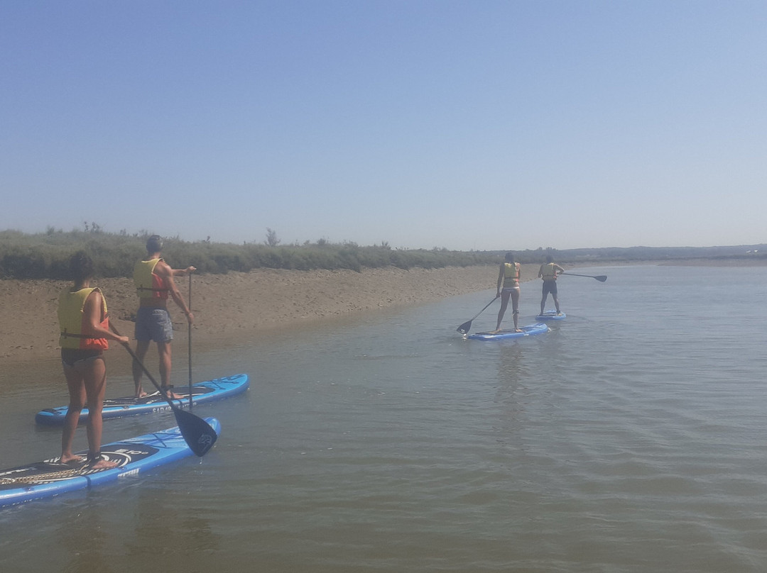 Rumbo Sur Paddle Surf景点图片