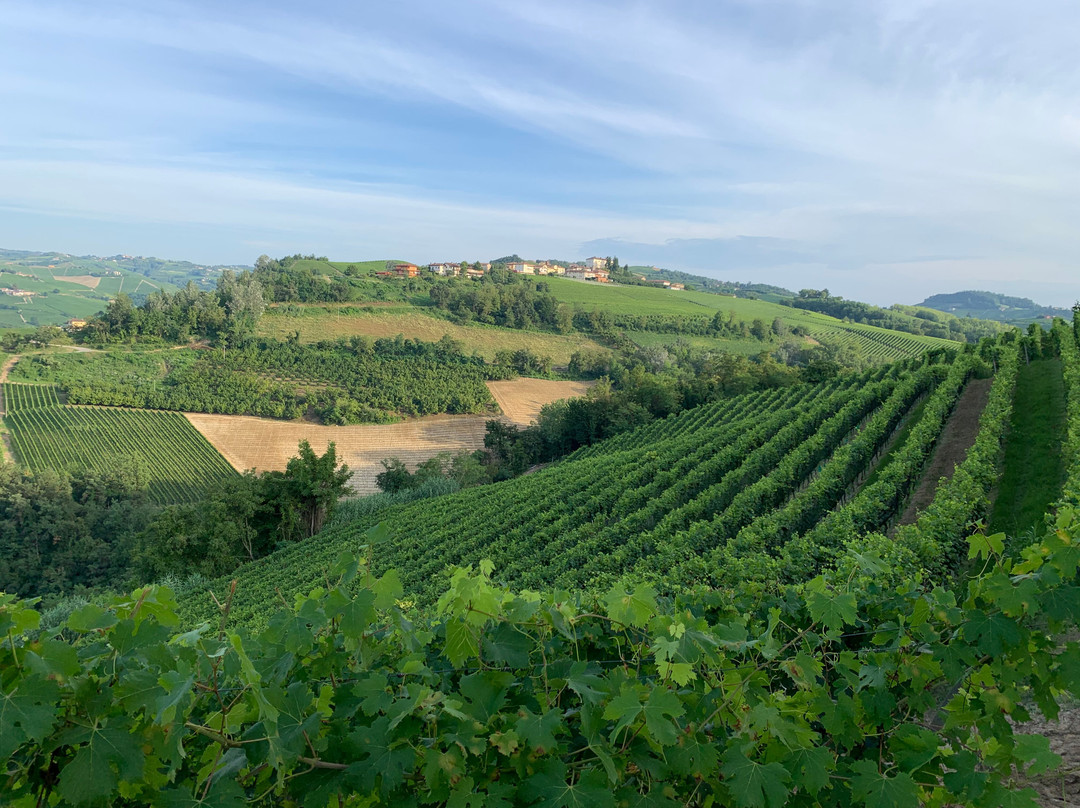 Vietti-Castiglione Falletto必去景点