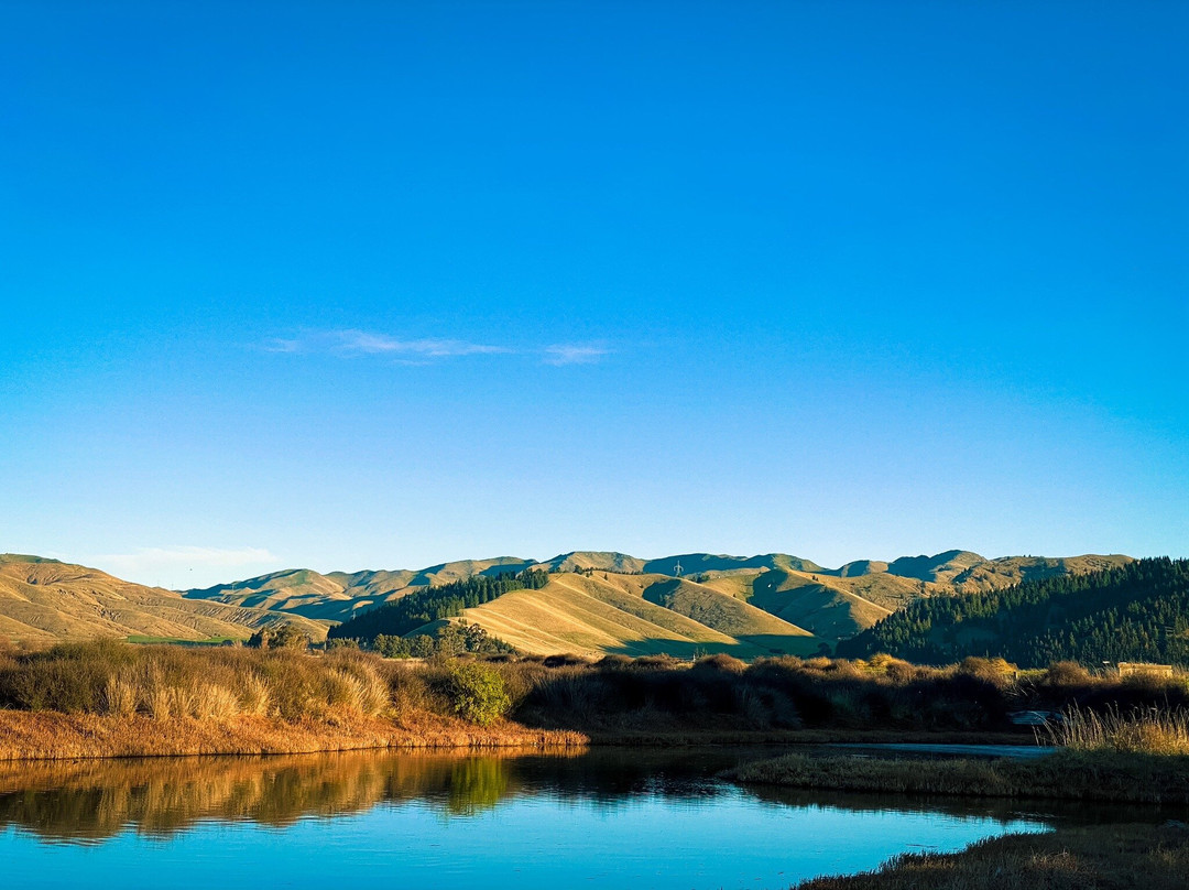 Wairau Lagoons Walkway景点图片