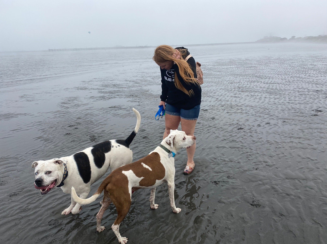 Motel 6 Crescent City