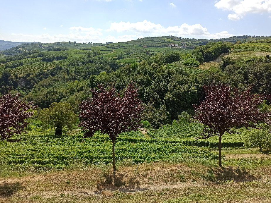 Azienda Agricola Terrabianca景点图片