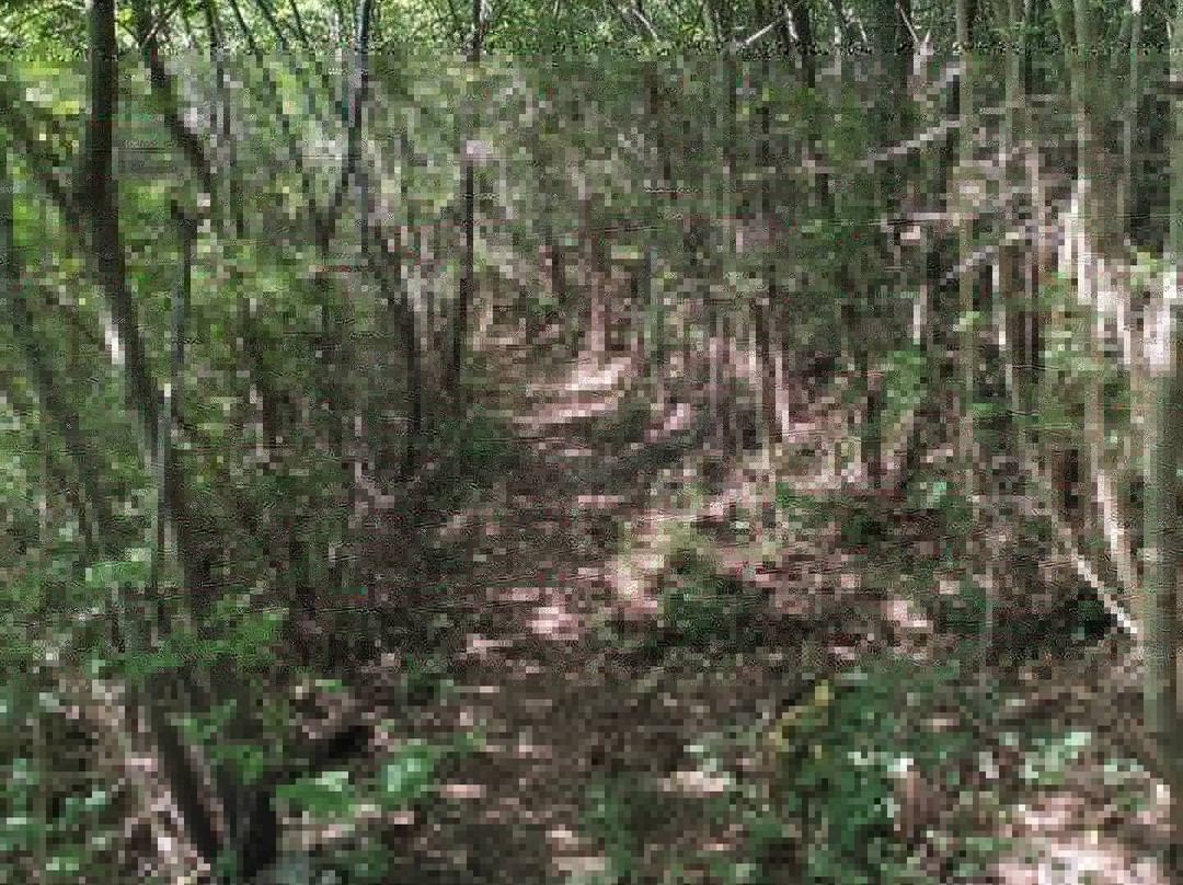 Il Cammino dei Briganti-Sante Marie必去景点