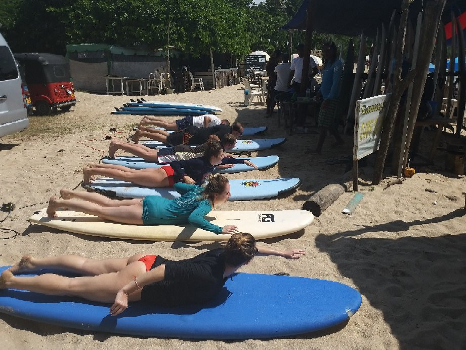 Hiri Turtle Surf School景点图片