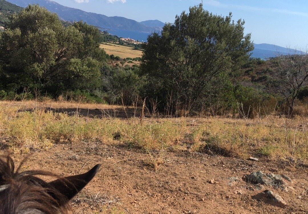 Ferme Equestre Le Ranch景点图片