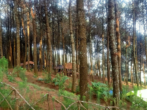 Bukit Senyum-万隆必去景点