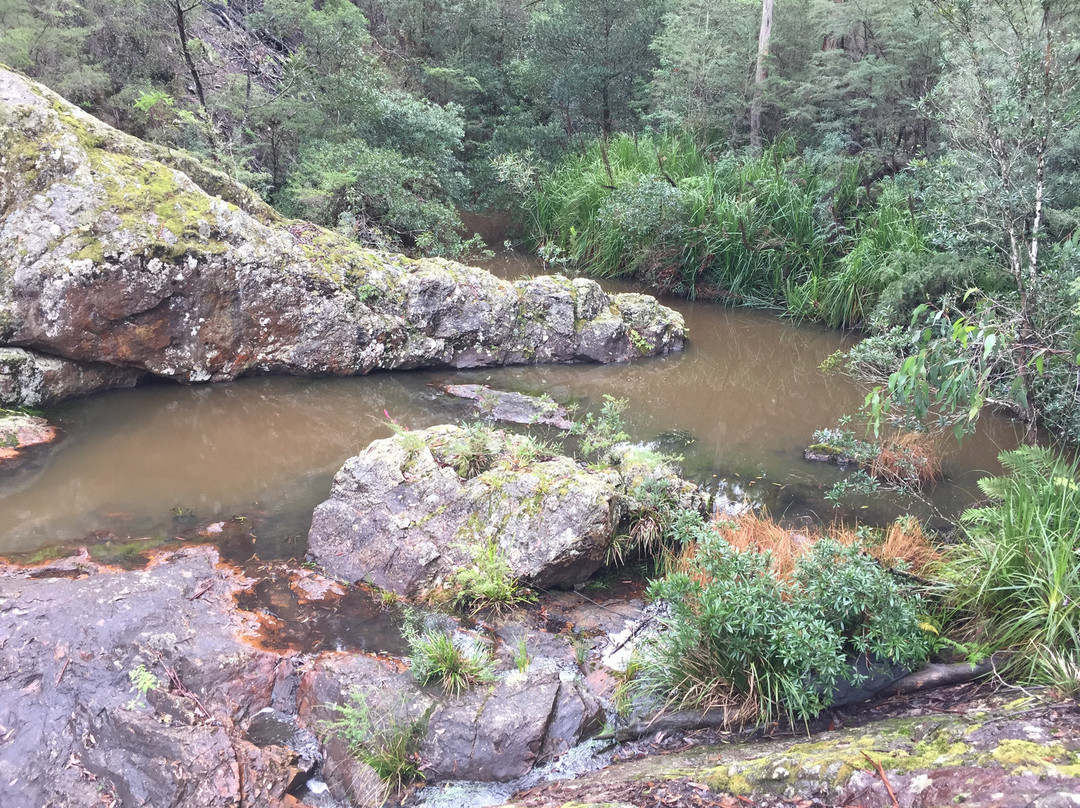 Youngs Creek Falls-Orbost必去景点