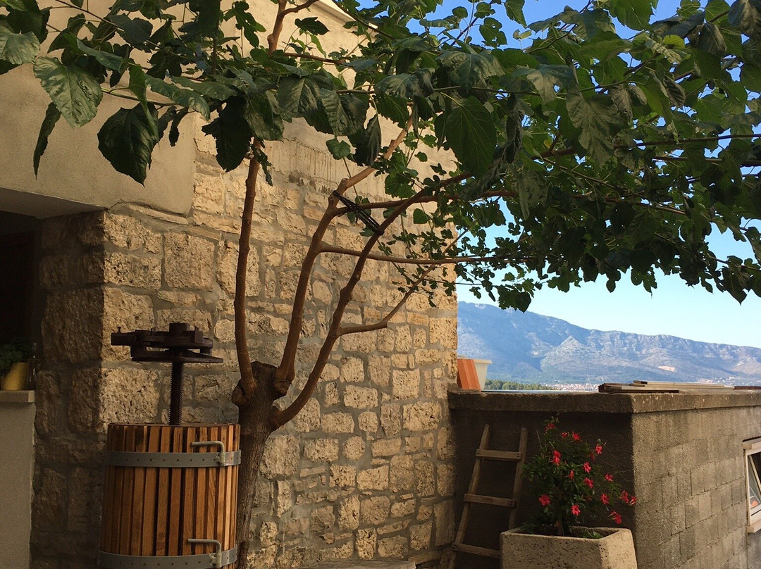 Cipre Winery-伦巴达必去景点