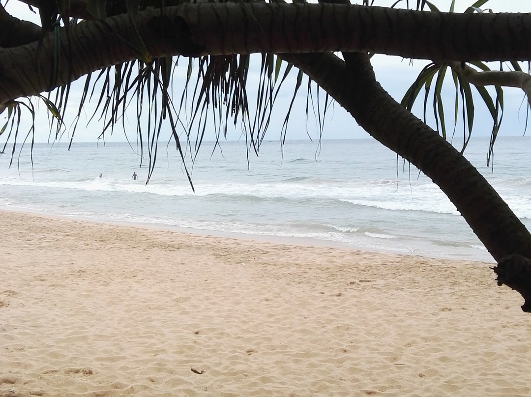 坦普尔树温泉度假村主图