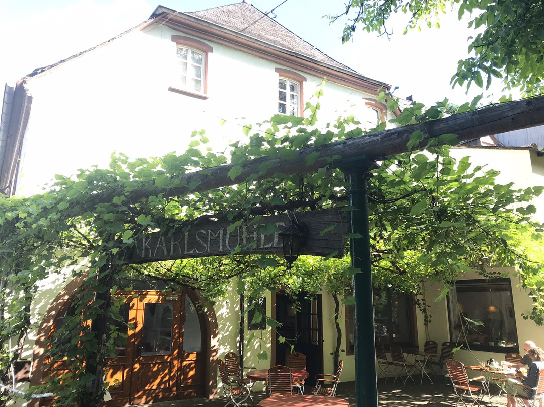 Hotel Weingut Karlsmuhle主图