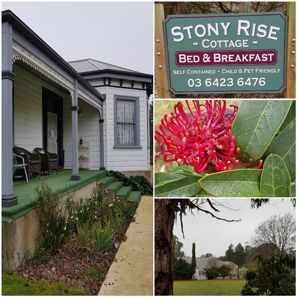 Stony Rise Cottage B&B-官方