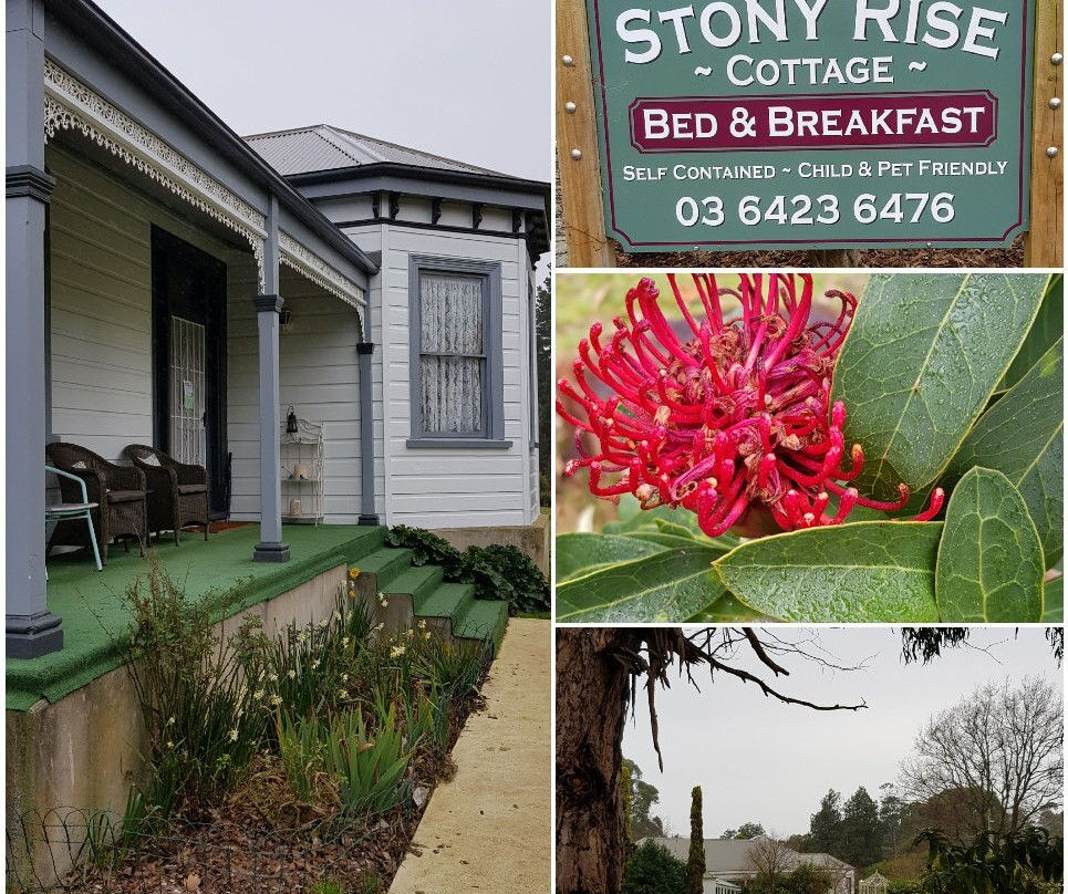 Devonport酒店住宿-Stony Rise Cottage B&B