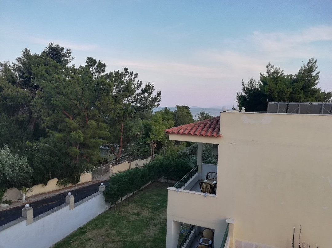 Skiron Studios主图