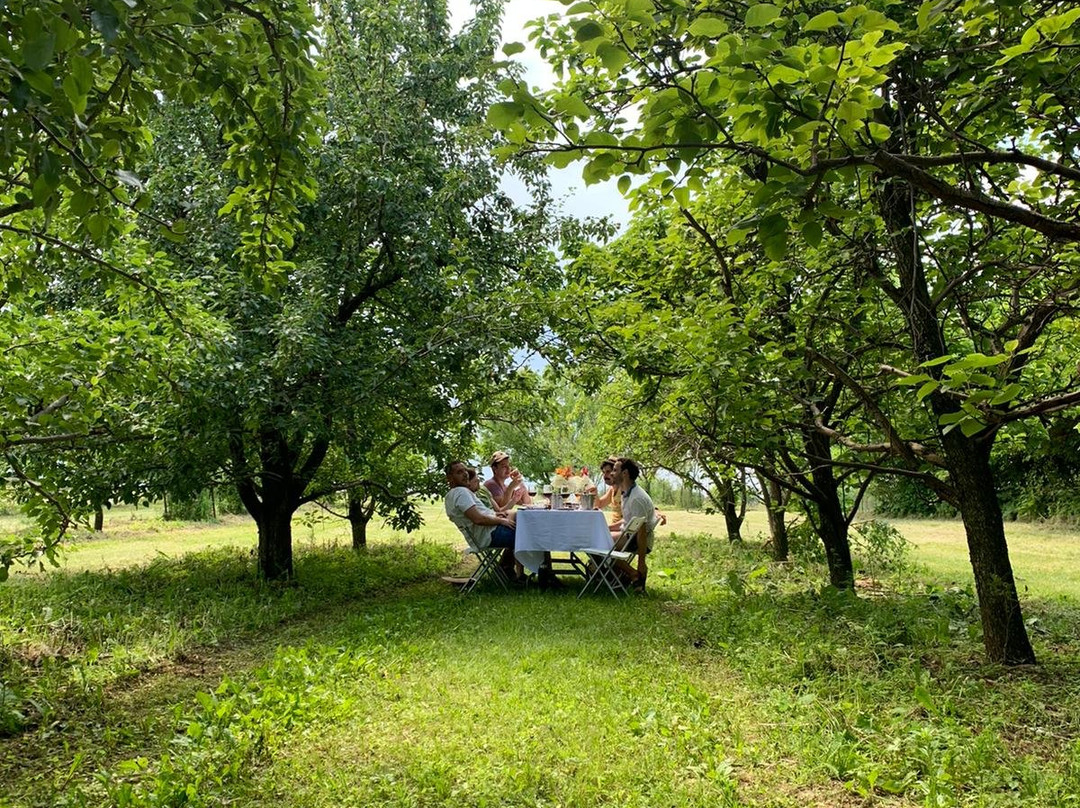 Wild Hills Winery-Muscoda必去景点