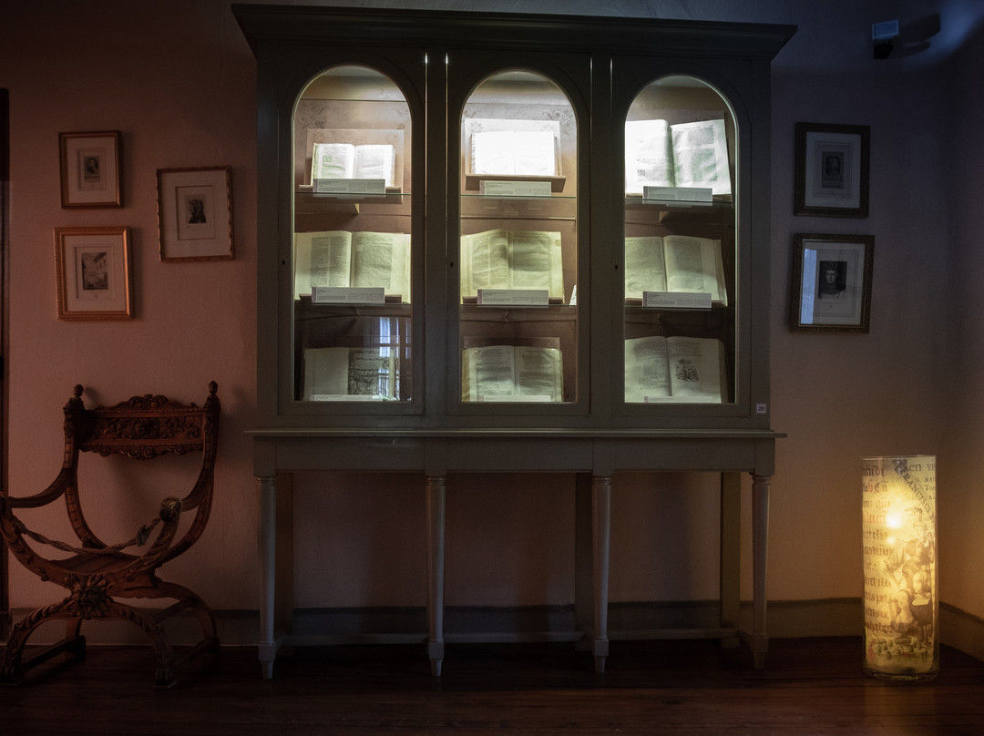 Musée-Bibliothèque François Pétrarque景点图片
