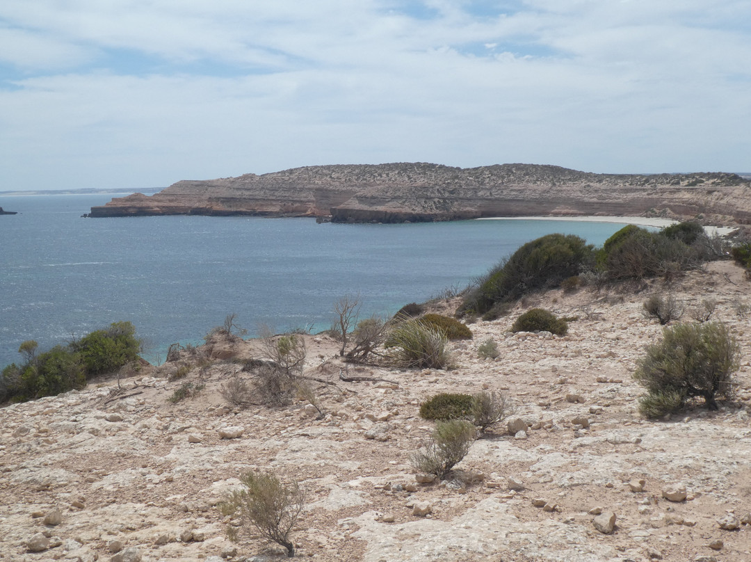 Westall Way Loop Coastal Scenic Drive-Streaky Bay必去景点
