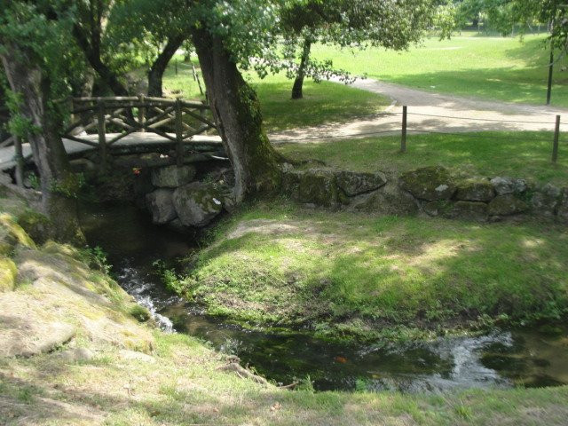 Parque da Cidade de Paredes景点图片