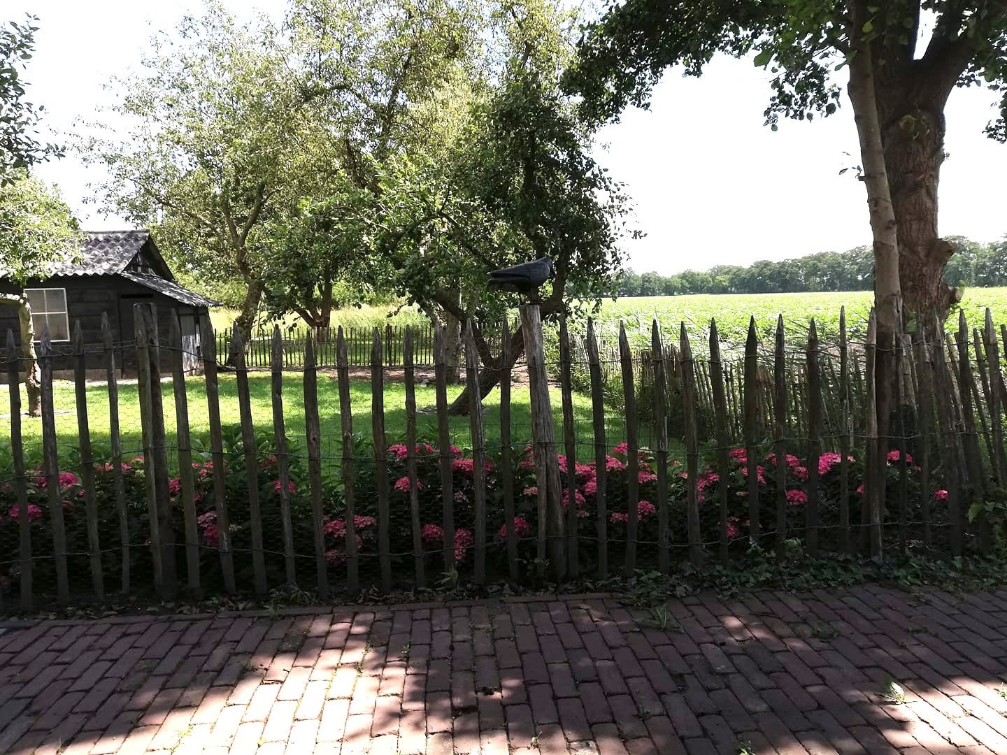 Hotel Restaurant Hof van 's Gravenmoer-酒店景观
