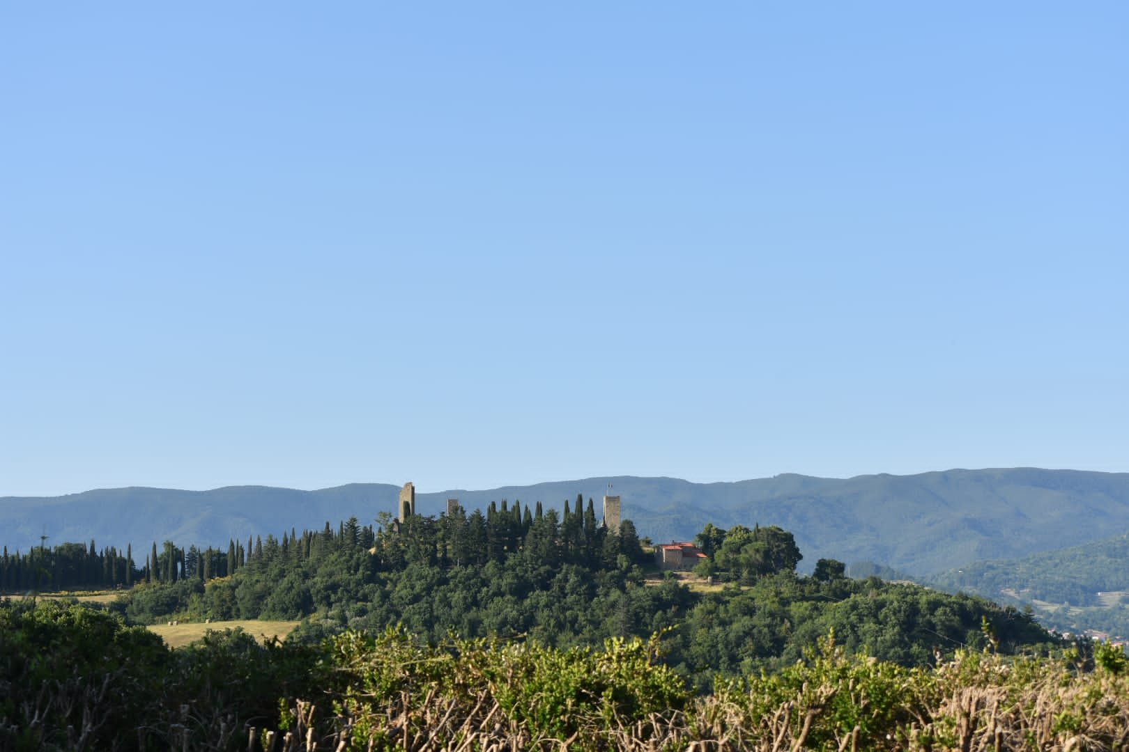 Podere Pian di Selva-官方