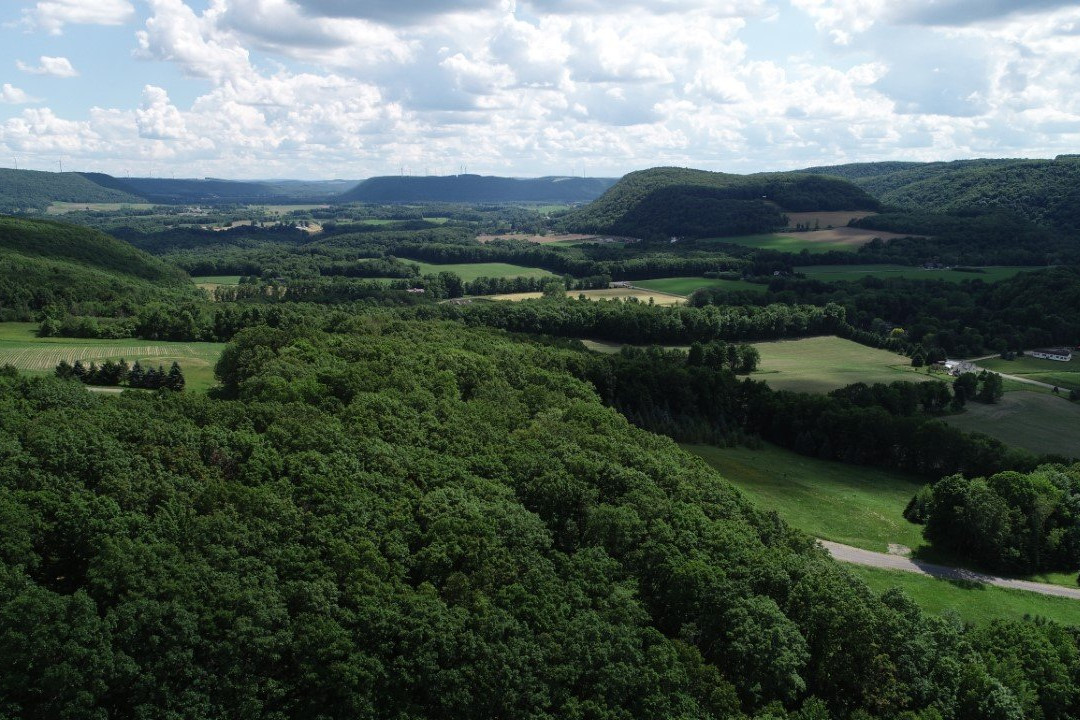 Another World Bed and Breakfast主图