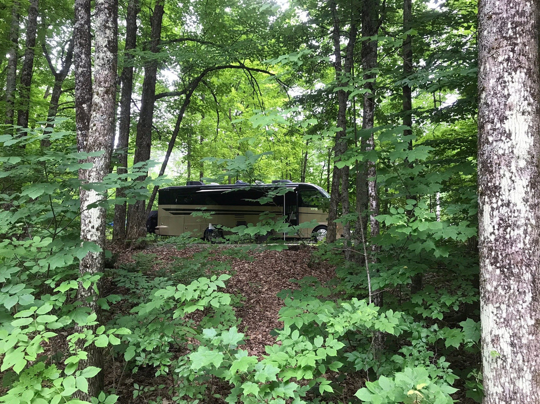 Lake St. Catherine State Park-Poultney必去景点
