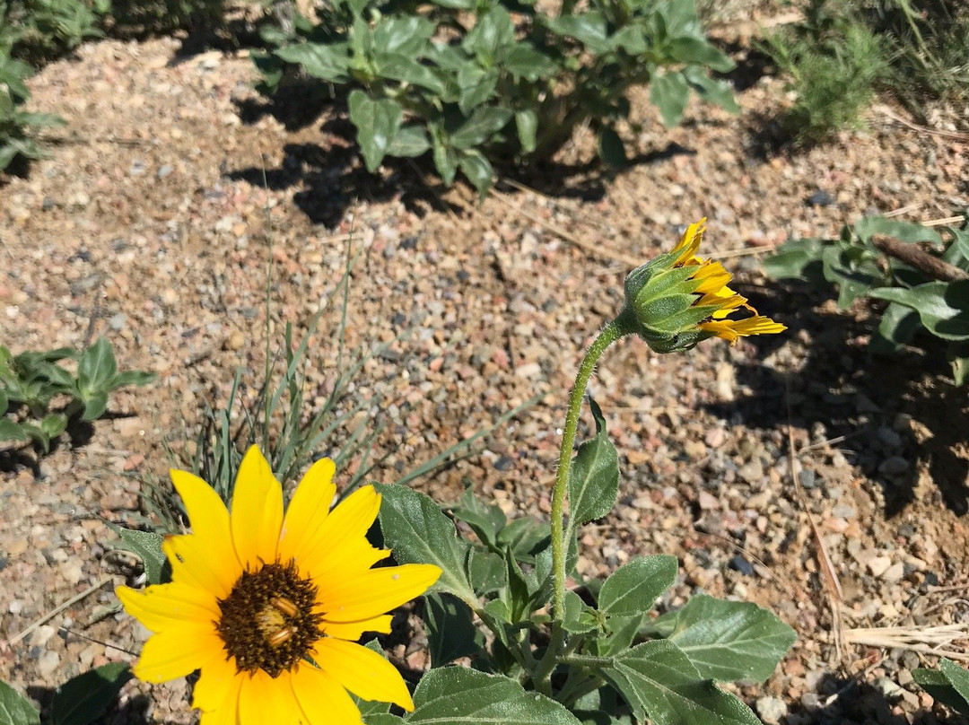 Sand Creek Massacre National Historic Site-科罗拉多必去景点