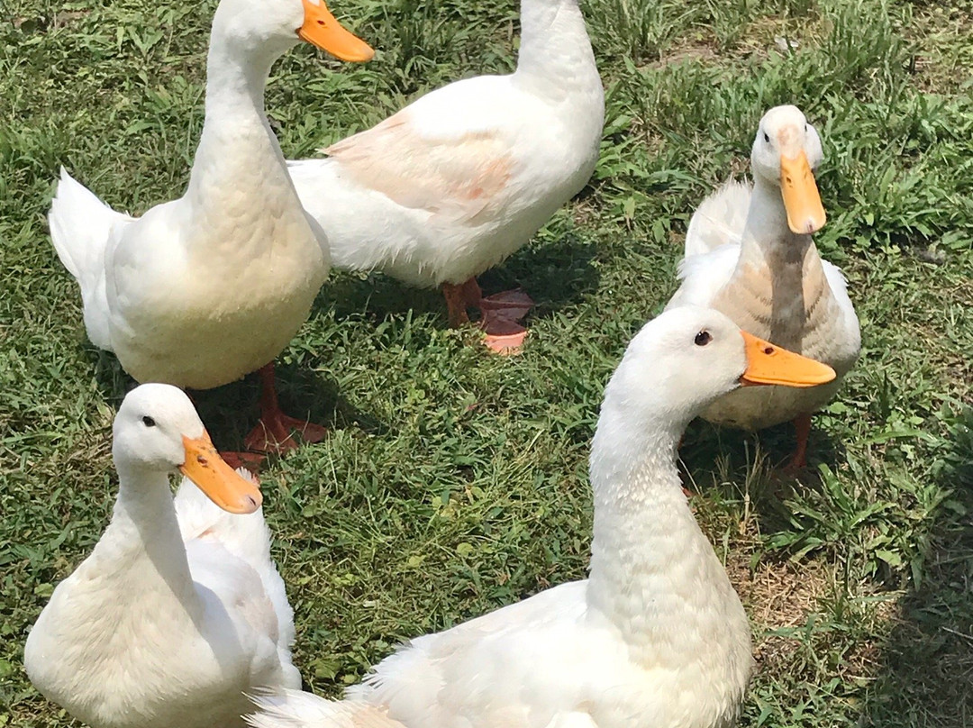 Blue Springs Recreation Area-Marianna必去景点