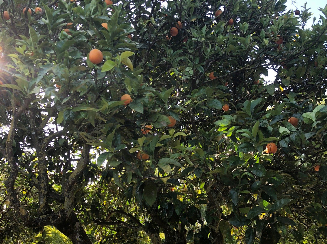 Quinta da Praia das Fontes主图